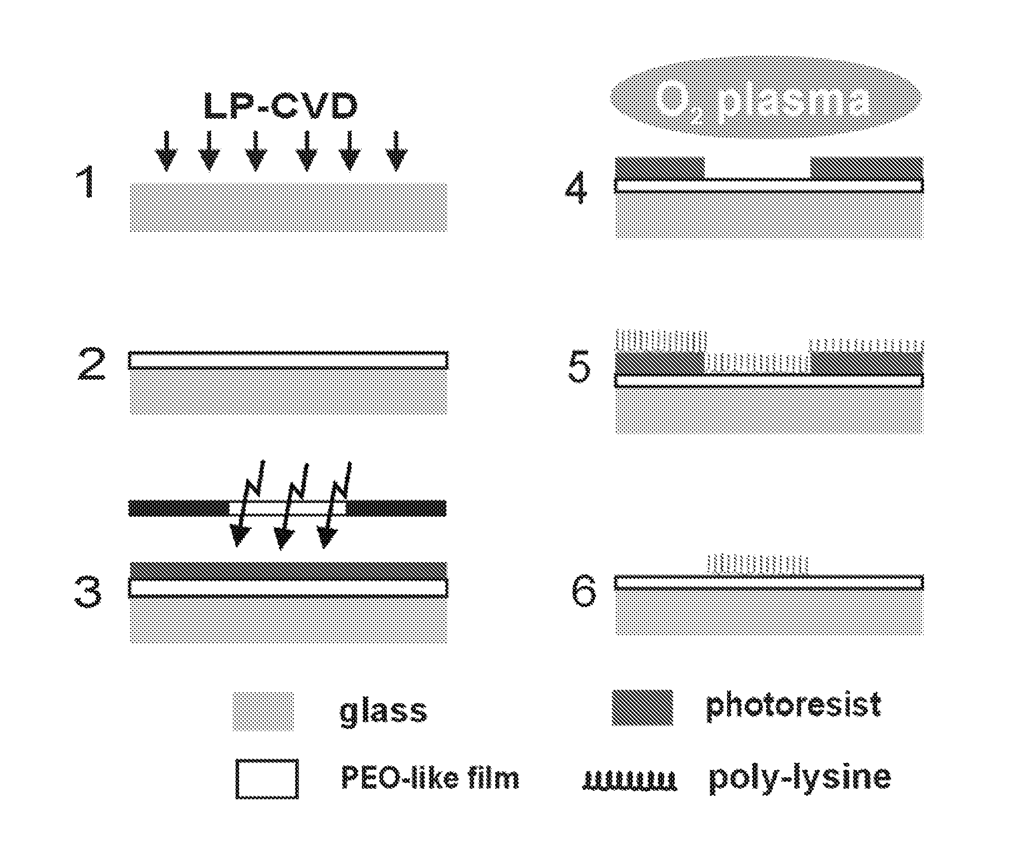 Methods and Compositions for High-Resolution Micropatterning for Cell Culture