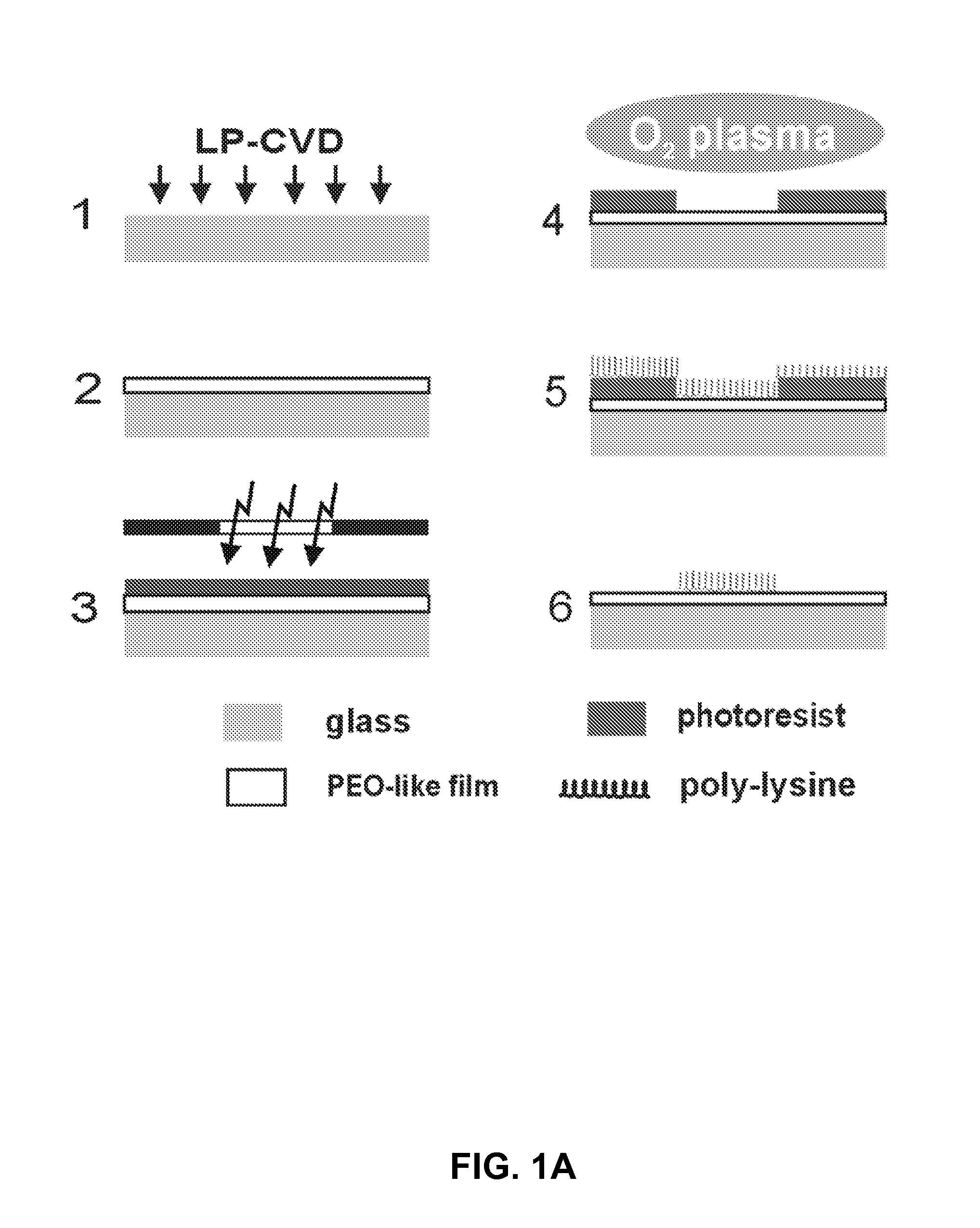 Methods and Compositions for High-Resolution Micropatterning for Cell Culture