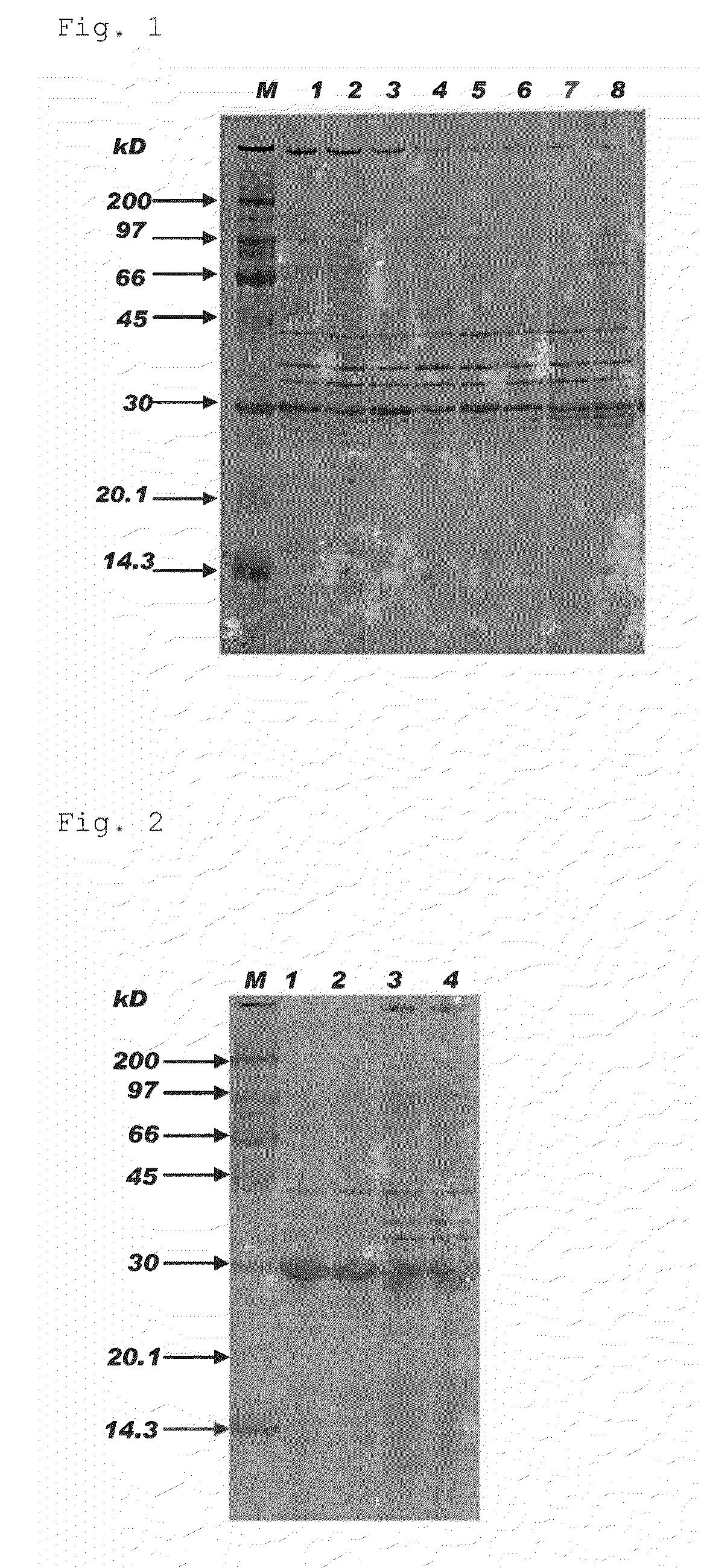 Process for preparing inclusion body-forming protein