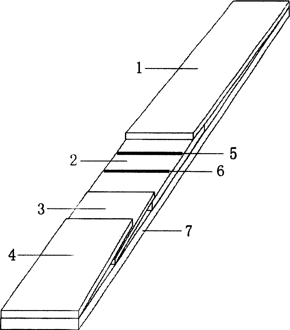 White spot syndrome virus on-spot detection test paper, its preparation and method of application