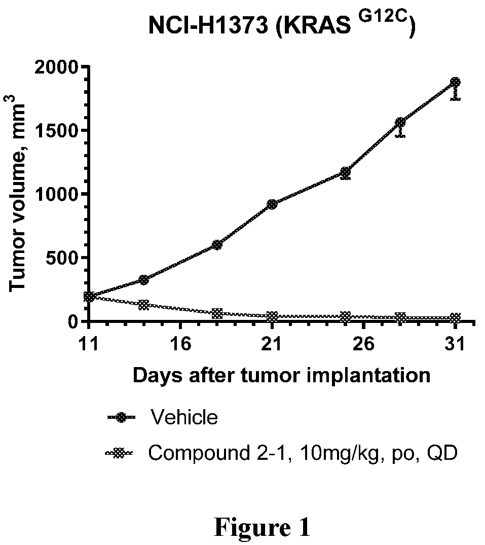 KRAS mutant protein inhibitors