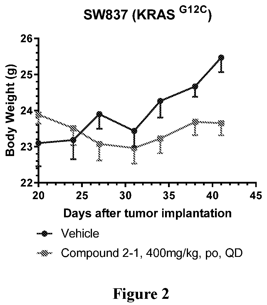 KRAS mutant protein inhibitors