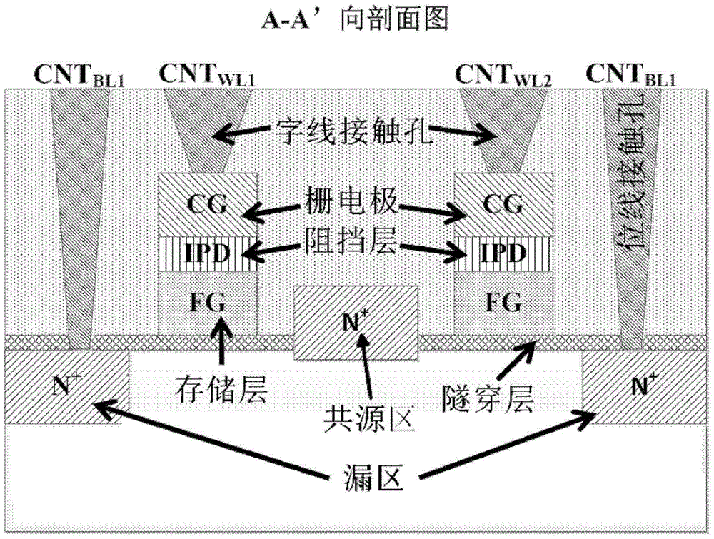 A nor-type flash memory unit with raised common source area and preparation method thereof