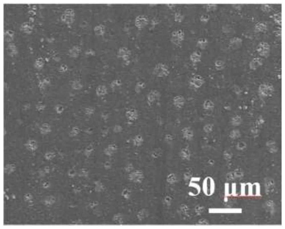 Super-amphiphobic material with hydrophobic migration and self-repairing performance and preparation method of super-amphiphobic material