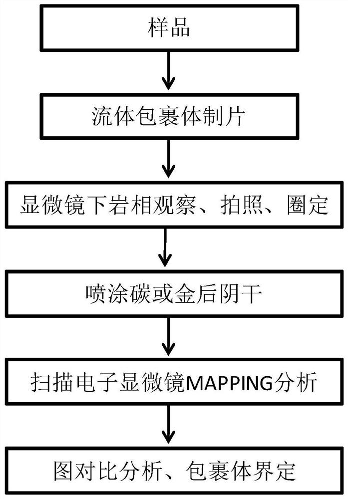 Method of Defining Fluid Inclusions in Hydrothermal Uranium Ore-forming Period Based on Scanning Electron Microscopy