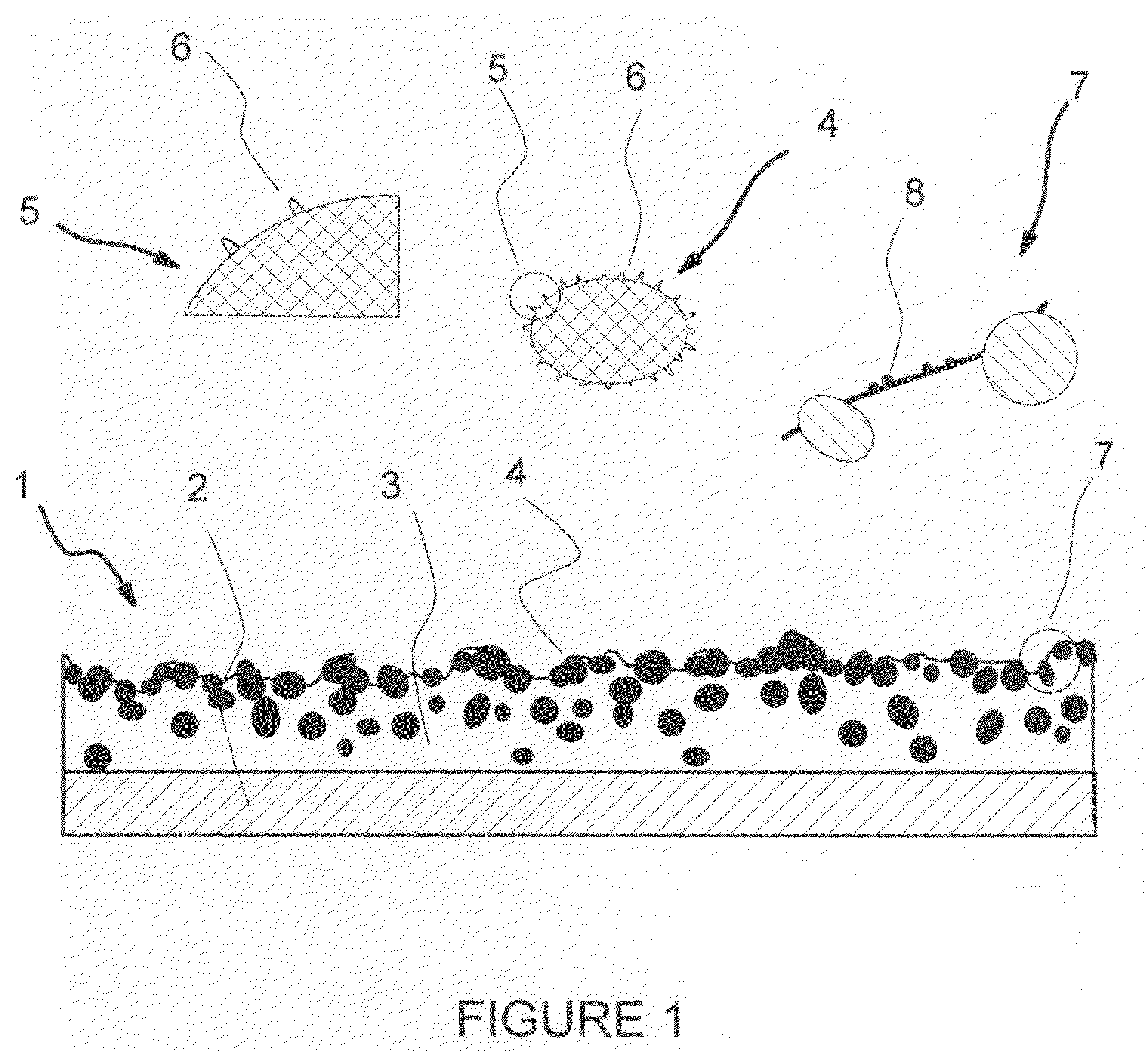 Compositions and processes for producing durable hydrophobic and/or olephobic surfaces