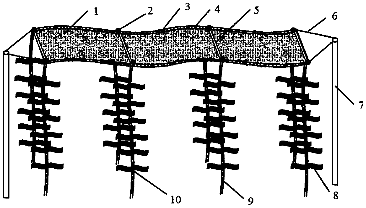 A photocatalysis-microbial degradation composite water treatment device and a photocatalysis-microbial degradation composite water treatment method