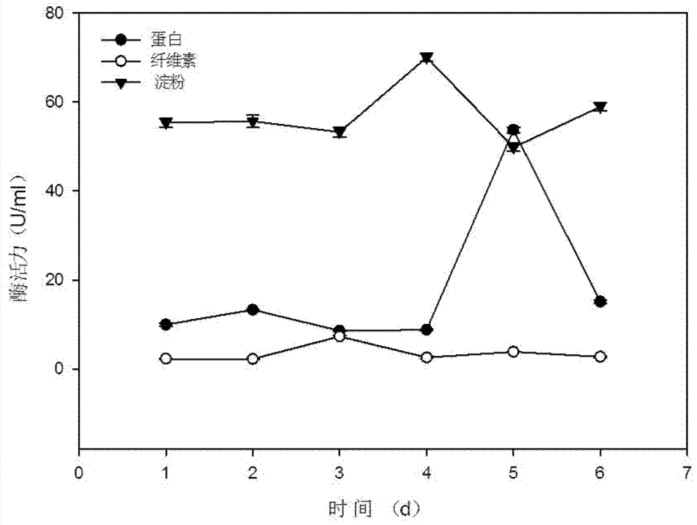 High-temperature degrading bacteria and application thereof