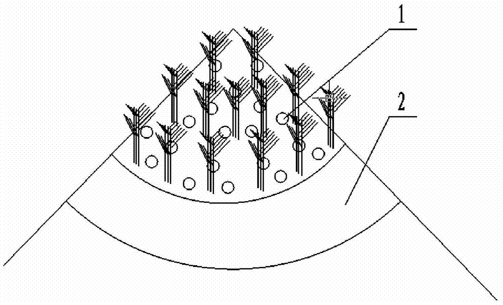 Slope cropland ramie cultivation method