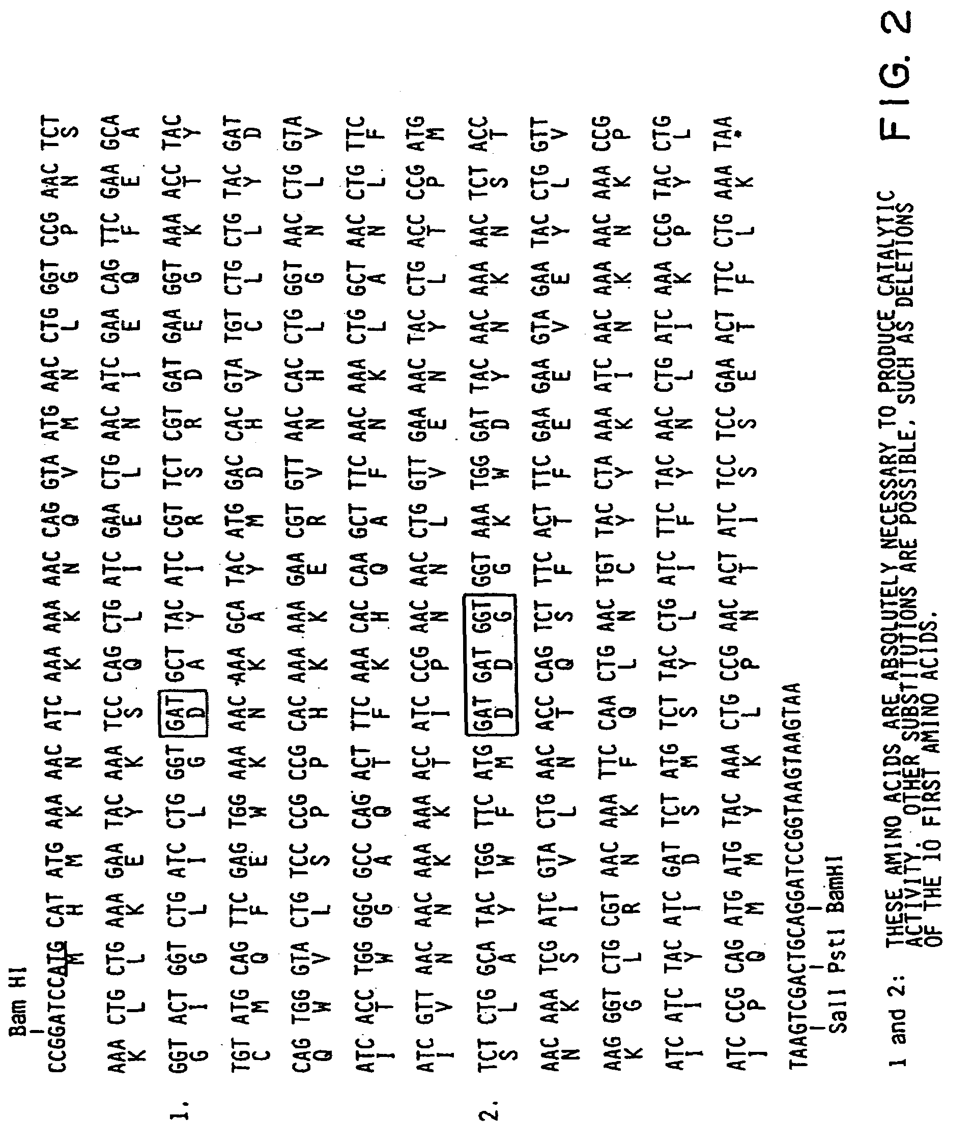 Nucleotide sequence encoding the enzyme I-SceI and the uses thereof