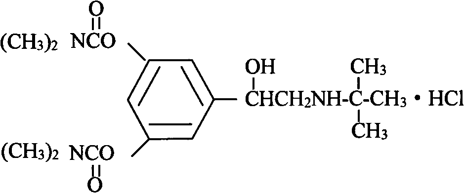 Bambuterol hydrochloride and roflumilast compound preparation and its preparation method