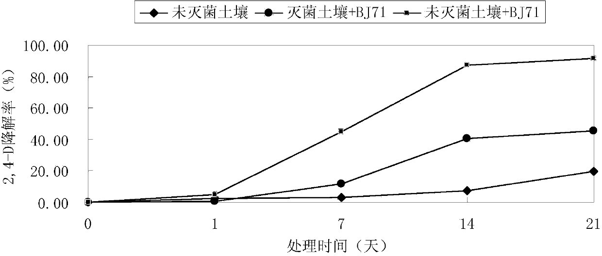 Strain of degrading herbicide 2,4-dichlorophenoxyacetic acid and application thereof