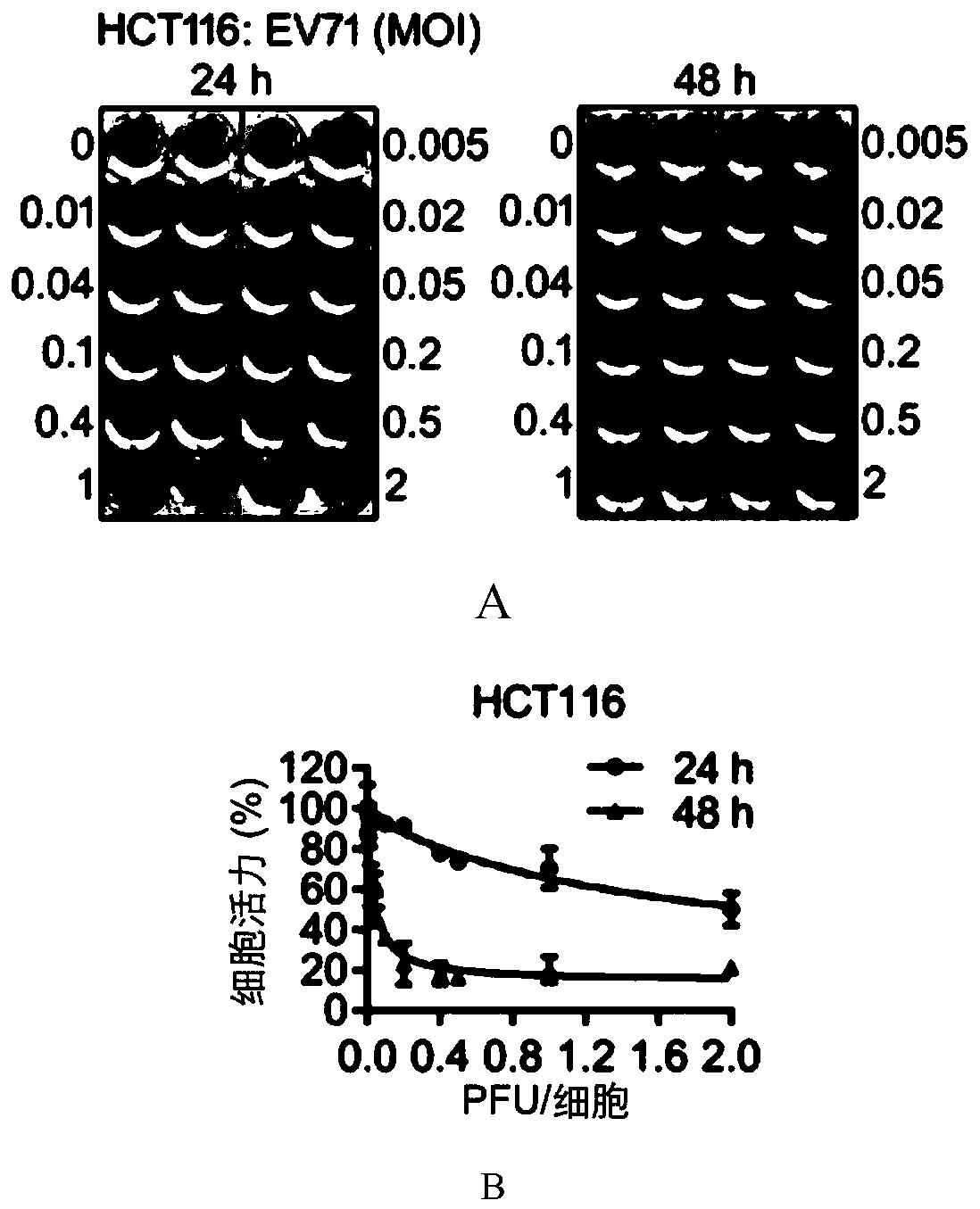 Application of novel oncolytic virus in preparation of medicine for treating colorectal cancer