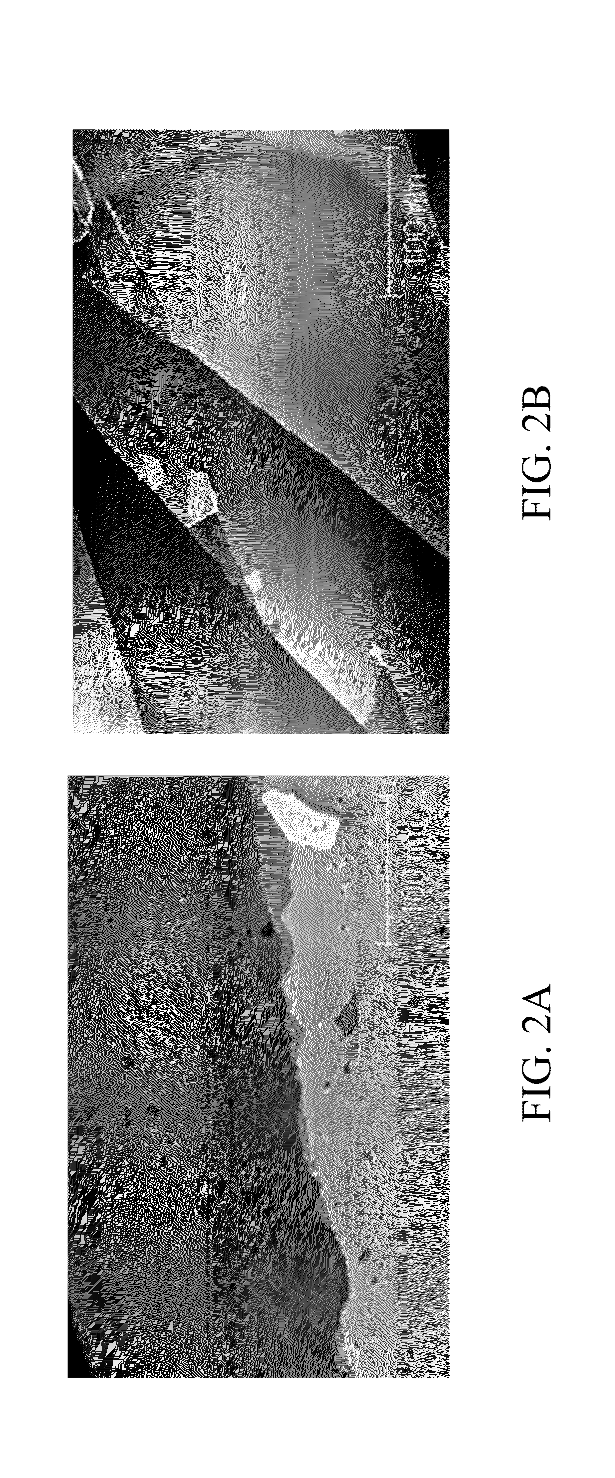 Carbonaceous nano-scaled materials having highly functionalized surface