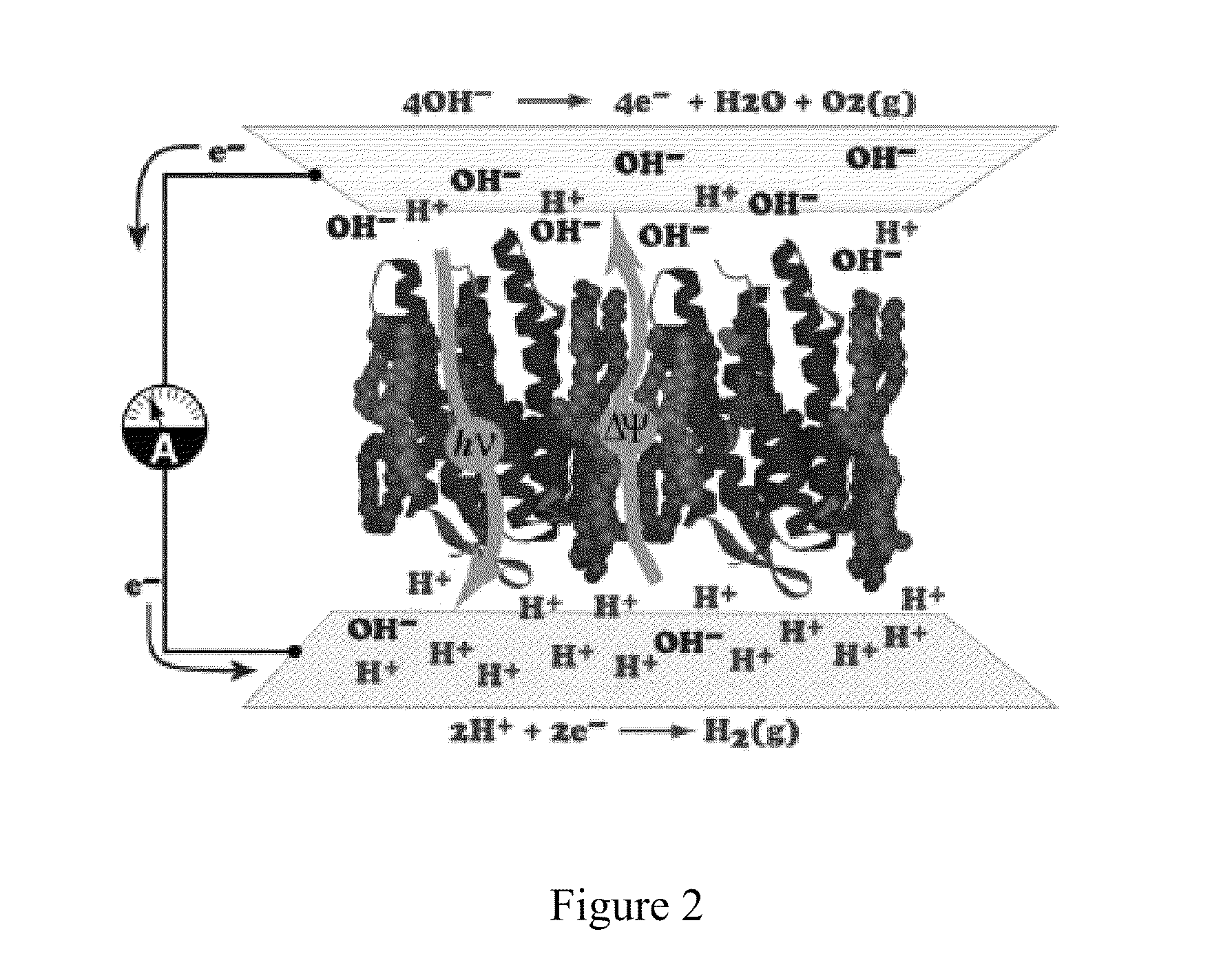 Protein-based photovoltaics and methods of use