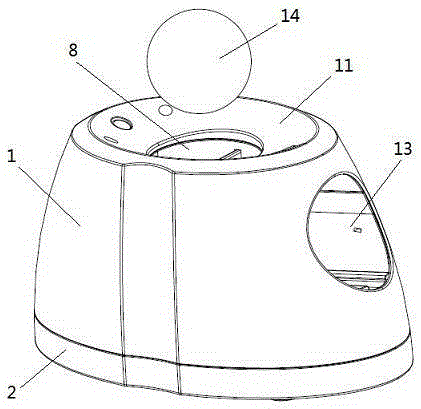 Automatic ball launching device interacting with pet