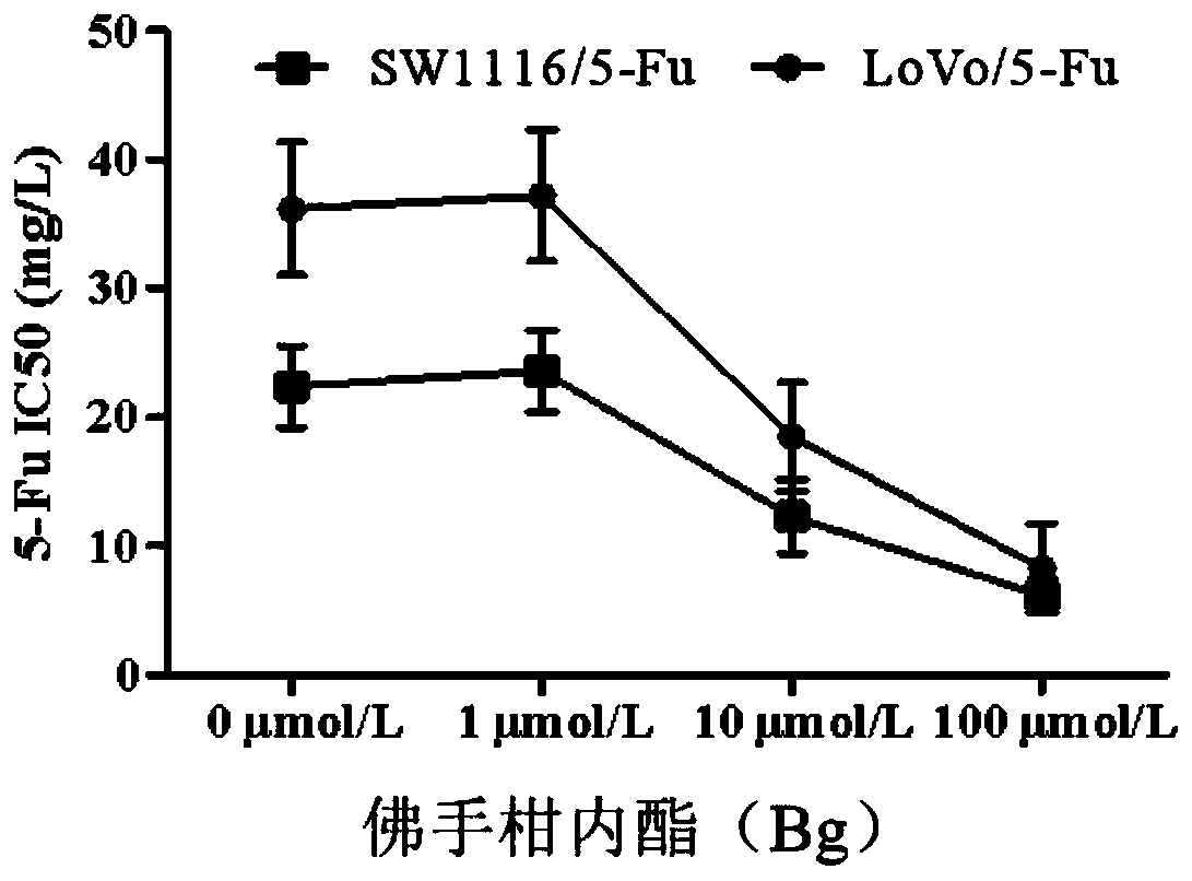 Application of bergapten in preparation of drugs for treating colorectal cancer