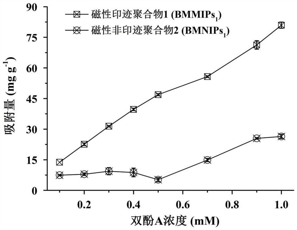 Preparation method of bisphenol A magnetic molecularly imprinted polymer and application of bisphenol A magnetic molecularly imprinted polymer in bisphenol A fluorescence detection