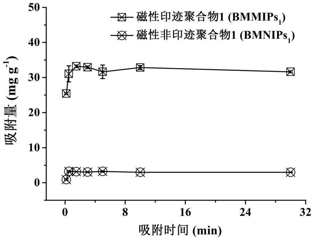 Preparation method of bisphenol A magnetic molecularly imprinted polymer and application of bisphenol A magnetic molecularly imprinted polymer in bisphenol A fluorescence detection