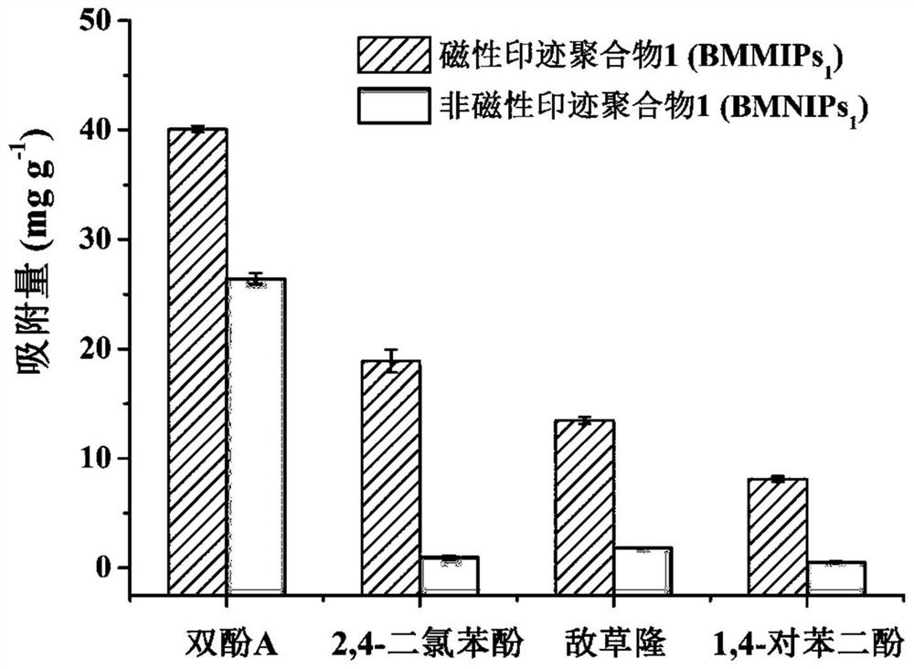Preparation method of bisphenol A magnetic molecularly imprinted polymer and application of bisphenol A magnetic molecularly imprinted polymer in bisphenol A fluorescence detection