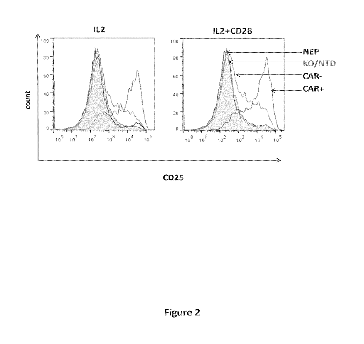 Cd19 specific chimeric antigen receptor and uses thereof