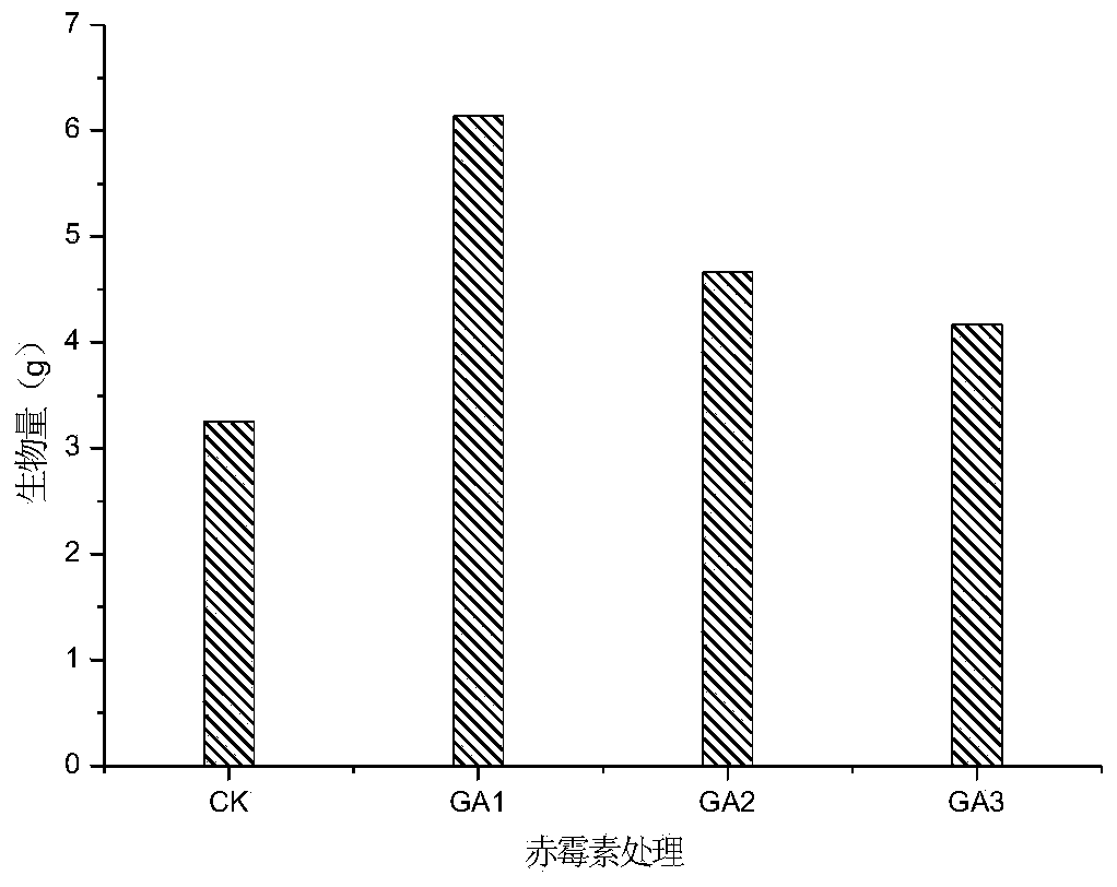 Method for promoting sunflower cesium or/and strontium enrichment by use of plant growth regulator