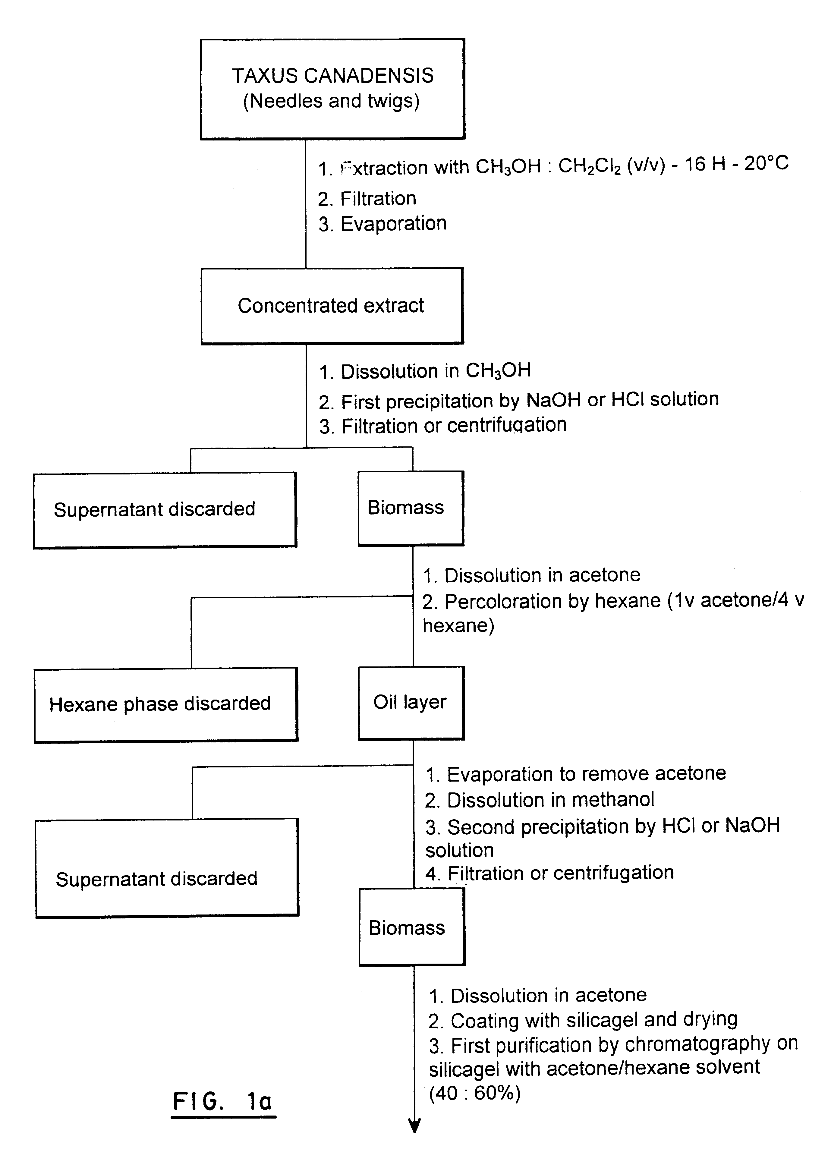 Process for extraction and purification of paclitaxel from natural sources