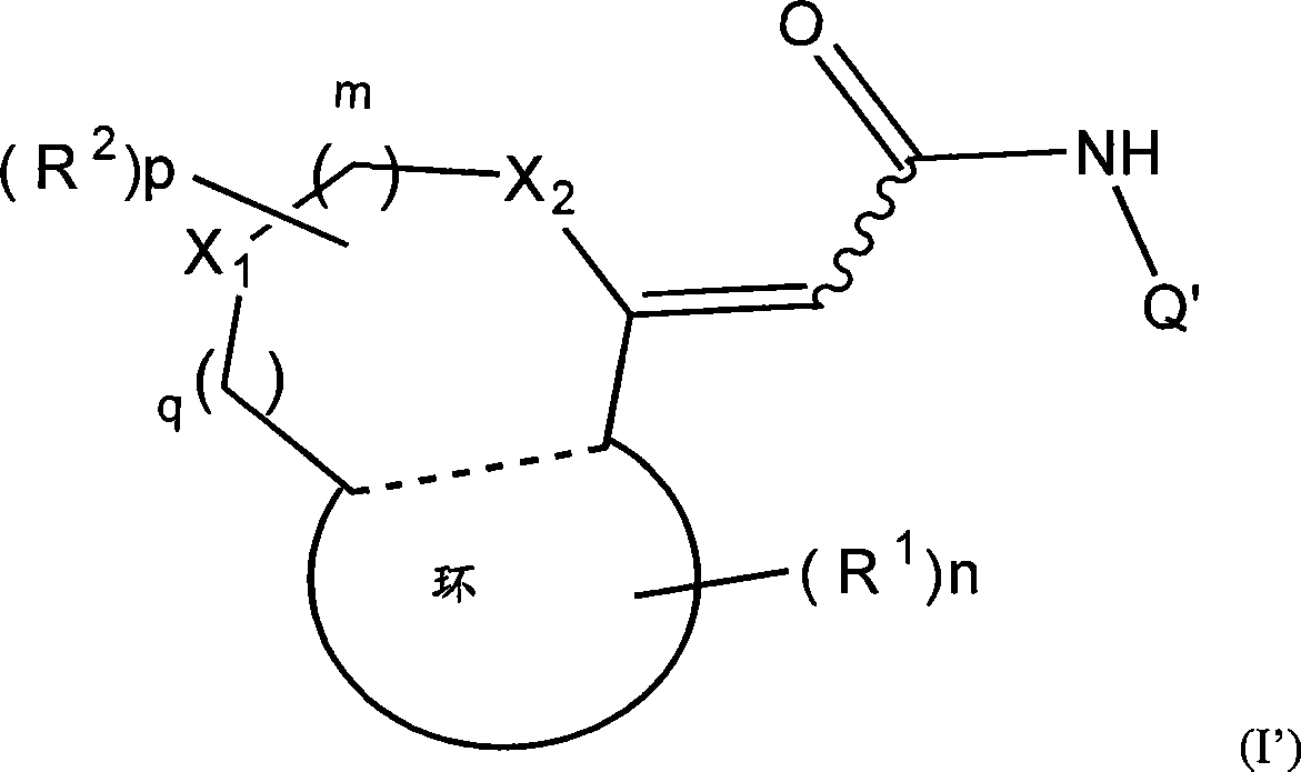 Novel heterocyclidene acetamide derivative