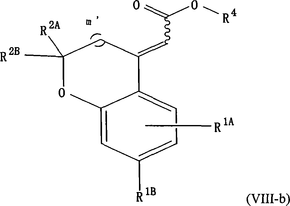 Novel heterocyclidene acetamide derivative