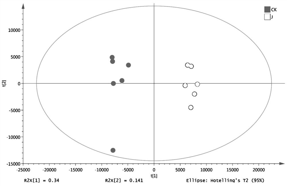 A research method based on metabolomics for jujube flower nectar-induced toxic effects on bees