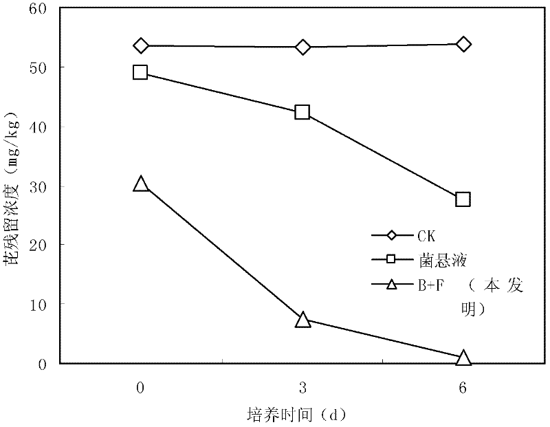 Polycyclic aromatic hydrocarbon antibacterial agent of composite carrier and preparation method of polycyclic aromatic hydrocarbon antibacterial agent