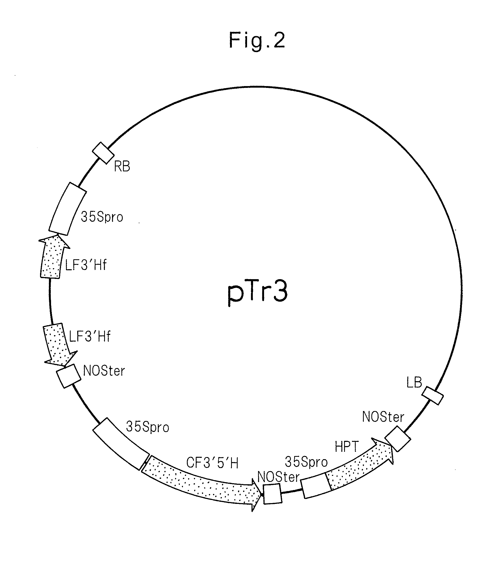 Method for producing lilies containing delphinidin in the petals thereof
