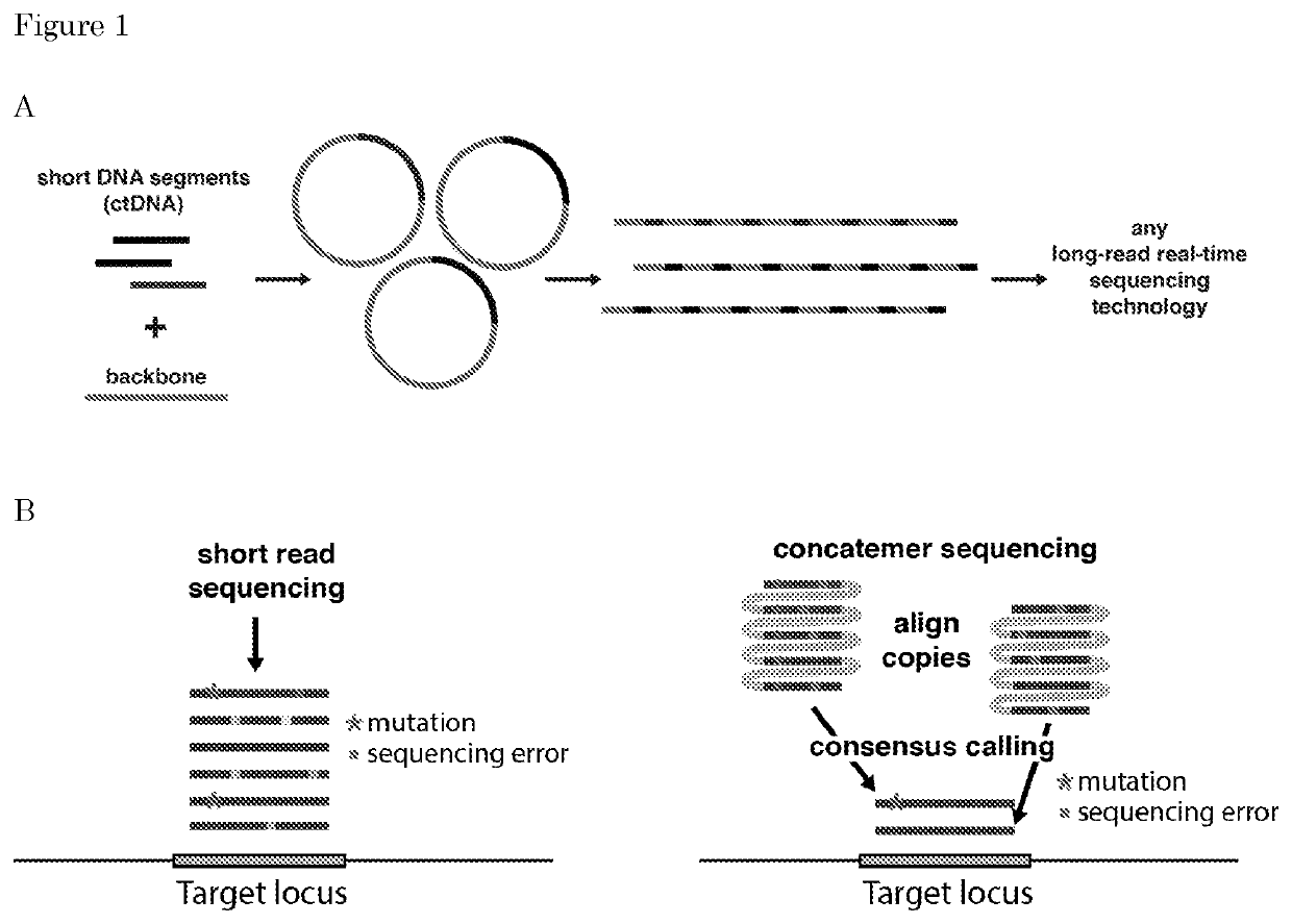Methods for preparing nucleic acid molecules for sequencing