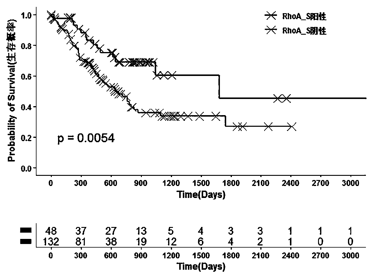 Evaluation gene group for prognosis prediction of gastric cancer and corresponding kit