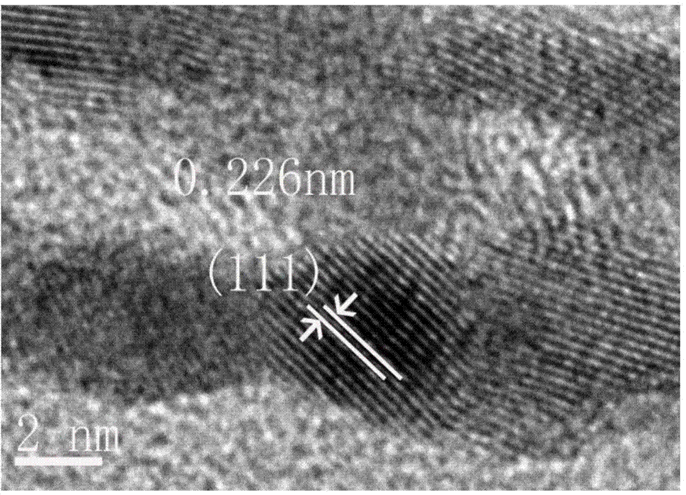 Method for polypeptide biomimetic preparation of platinum catalyst for fuel battery and application of platinum catalyst for fuel battery