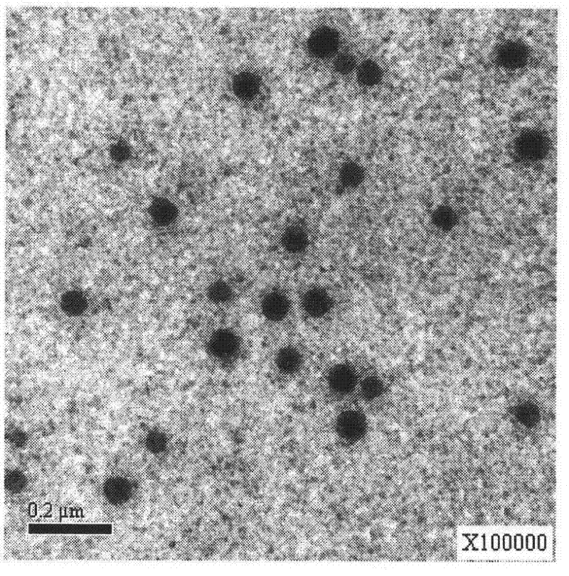 Enrofloxacin nano emulsion and method for preparing same
