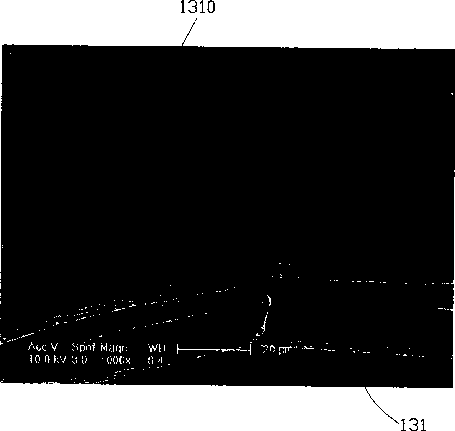 Field emitting cathode and lighting device