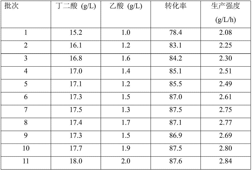 Method for producing succinic acid through polypropylene nonwoven fabric immobilized Actinobacillus succinogenes fermentation