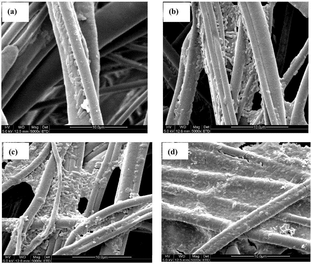 Method for producing succinic acid through polypropylene nonwoven fabric immobilized Actinobacillus succinogenes fermentation