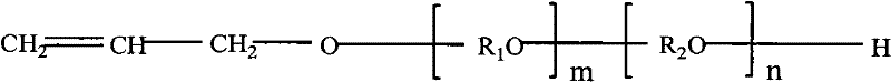 Catalyst for preparing polyalkyl glycol allyl amyl ether and preparation method thereof