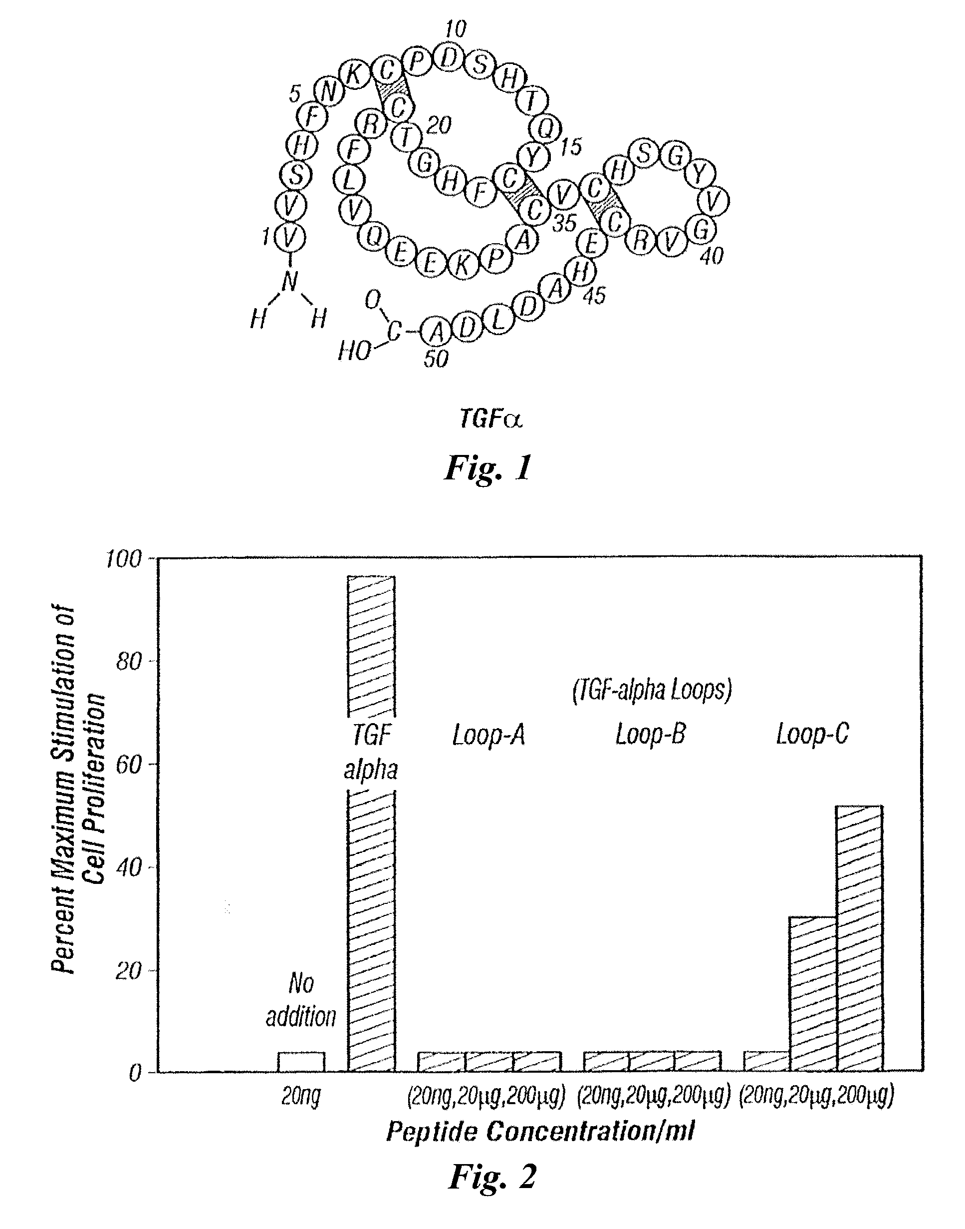 TGF-Alpha POLYPEPTIDES, FUNCTIONAL FRAGMENTS AND METHODS OF USE THEREFOR