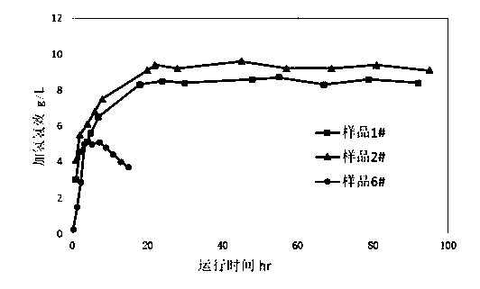 Precious metal catalyst as well as preparation method and application thereof