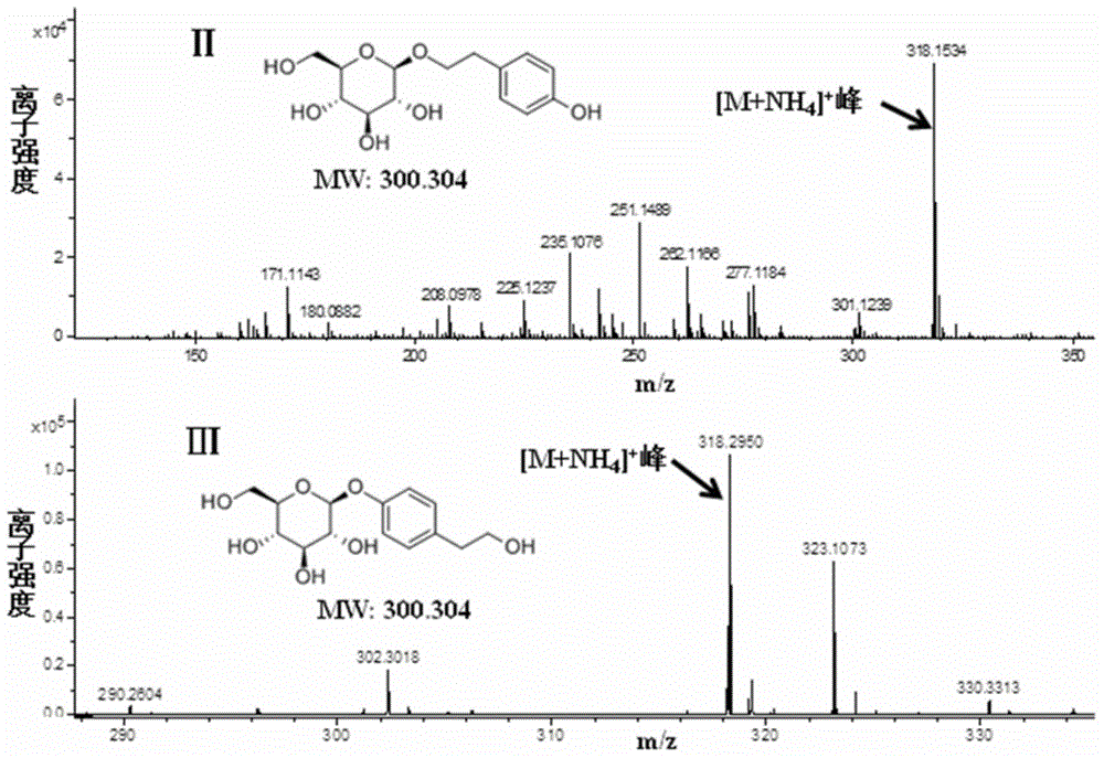 Escherichia coli expression strain for high production of tyrosol and/or salidroside and icarisid D2 and application of escherichia coli expression strain