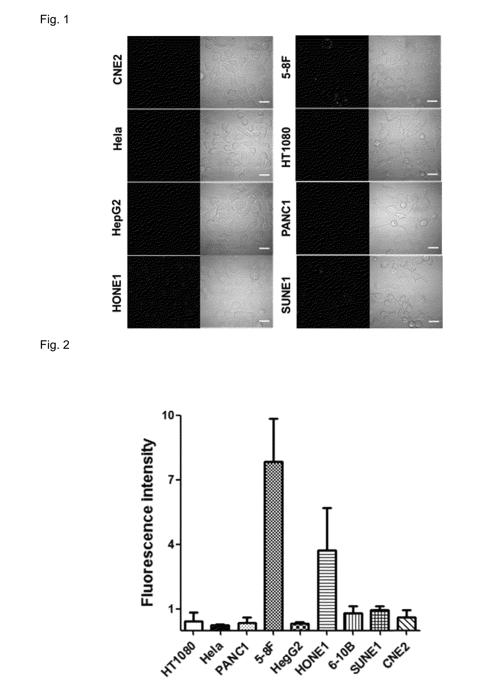 Dual-targeted therapeutic peptide for nasopharyngeal carcinoma, nanoparticles carrying same and uses thereof