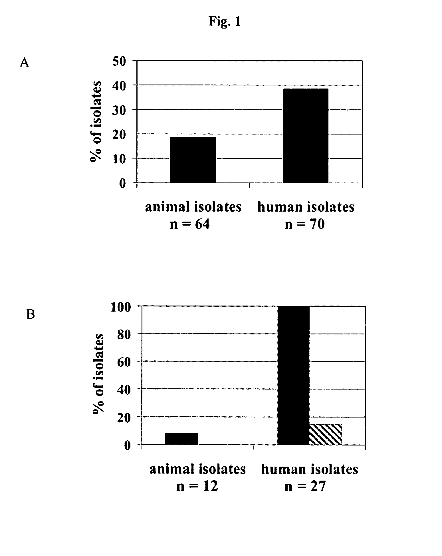 Peptide associated with rheumatic fever (PARF) and its use as a diagnostic marker