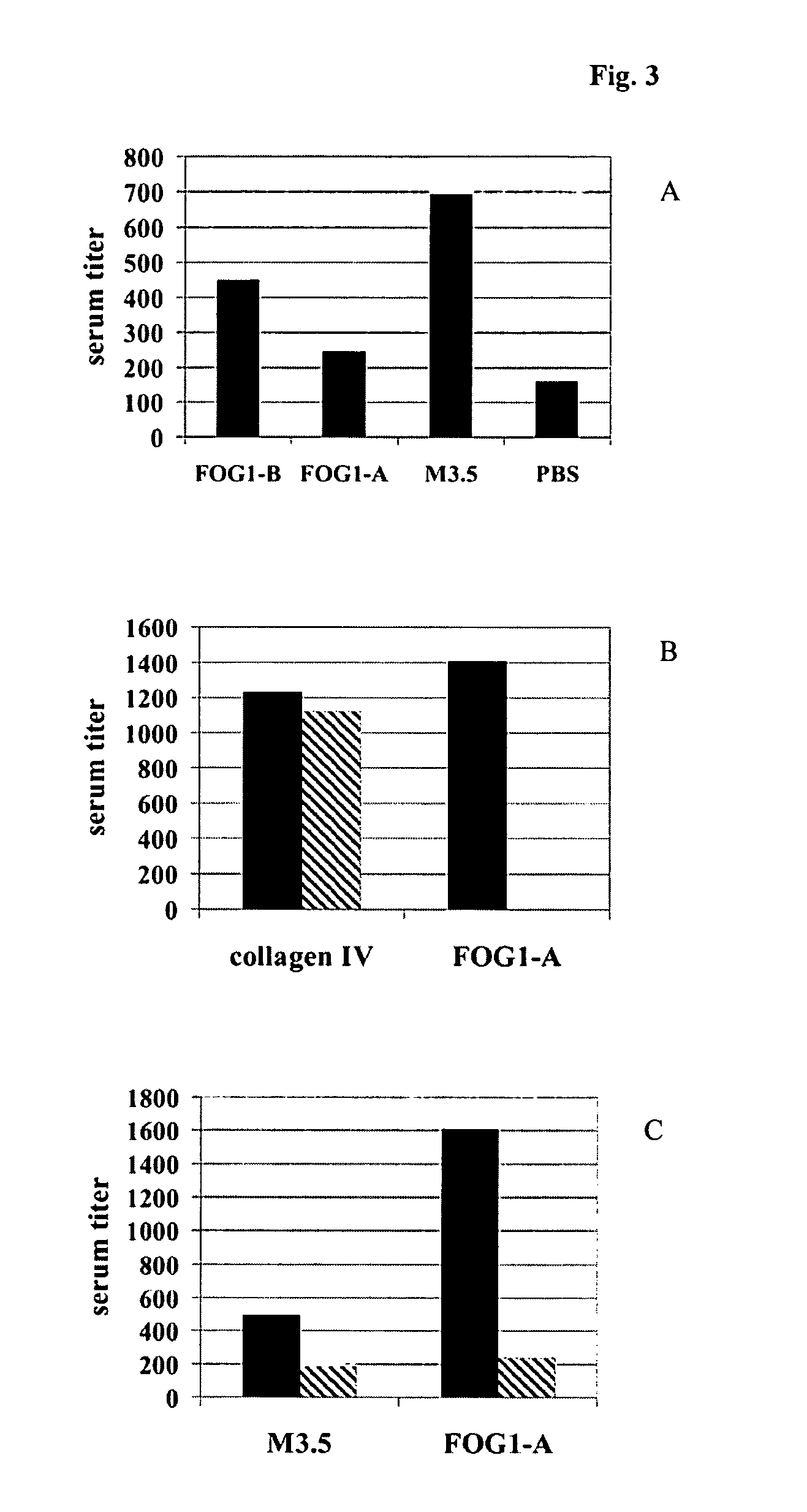 Peptide associated with rheumatic fever (PARF) and its use as a diagnostic marker