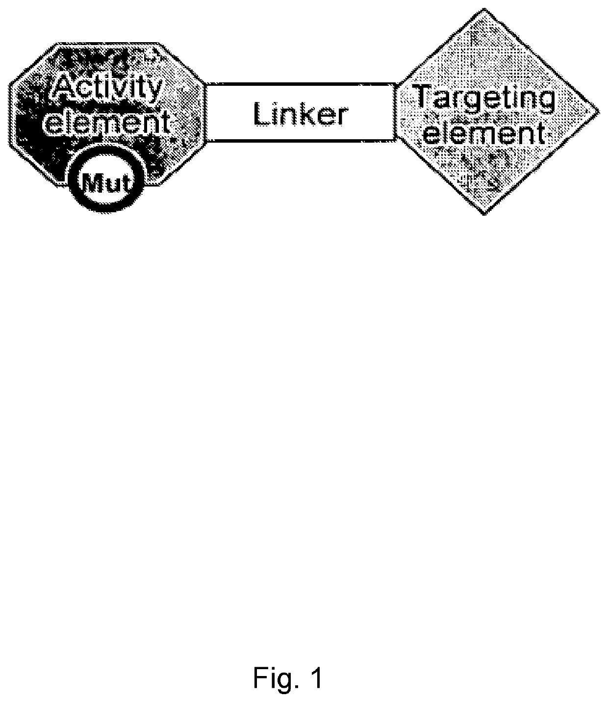 Chimeric activators: quantitatively designed protein therapeutics and uses thereof