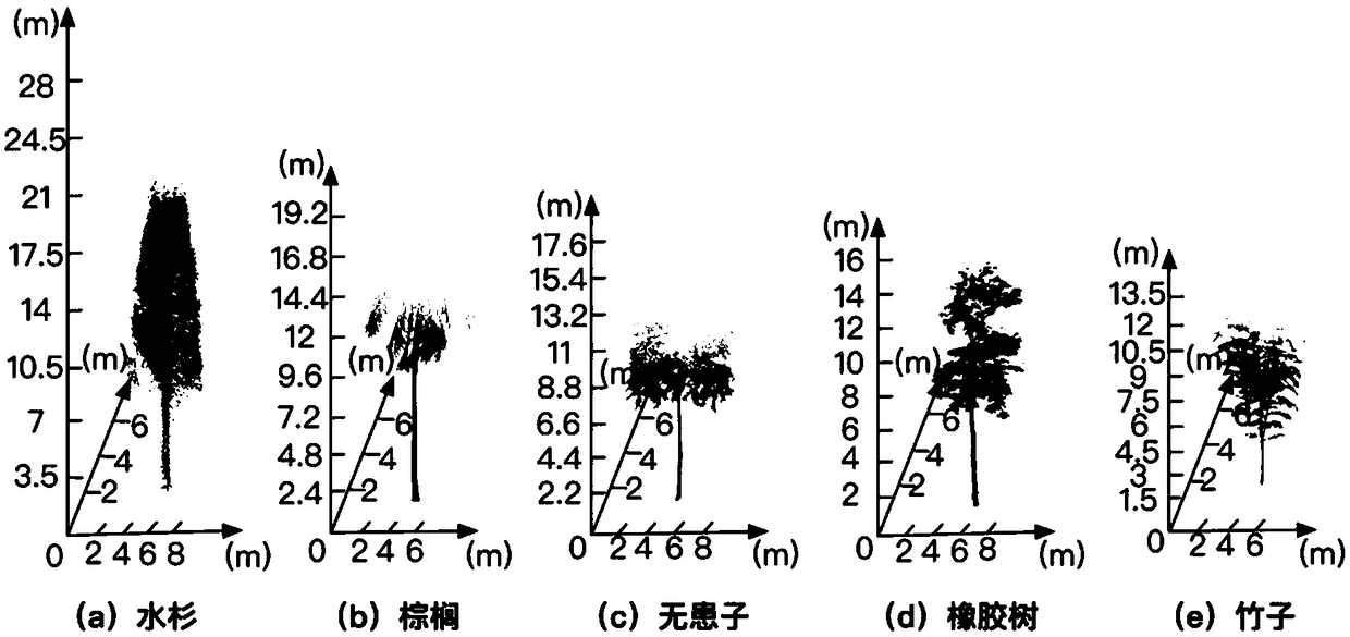 An efficient feature extraction and tree species recognition method oriented to a tree laser point cloud