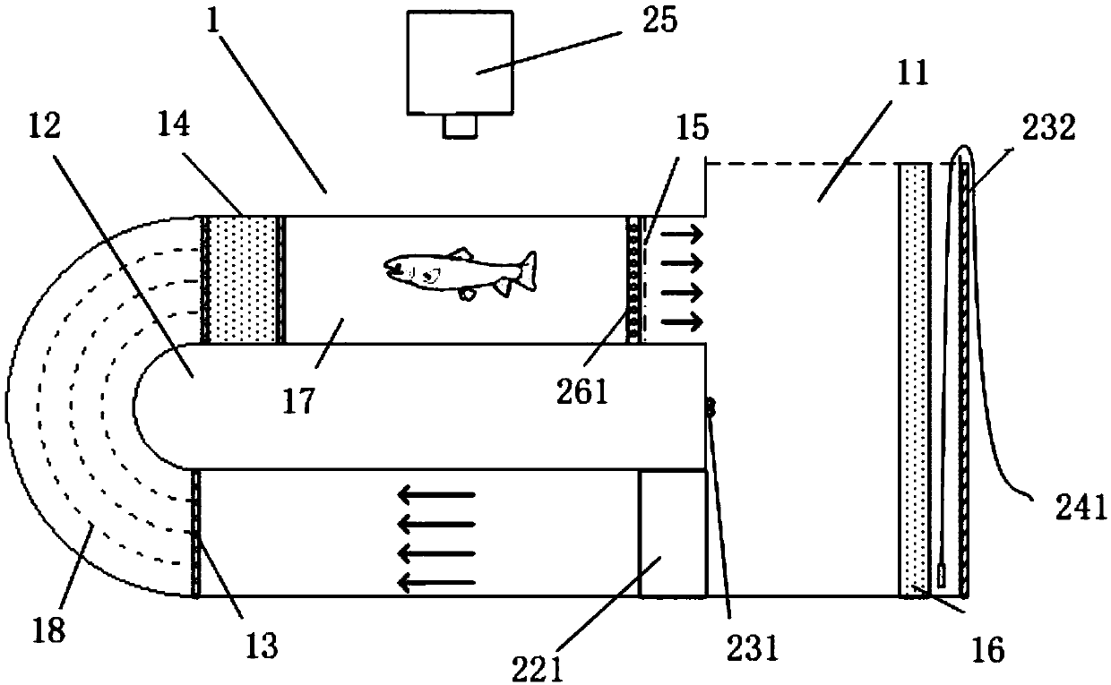 Automatic fish swimming ability test device and method