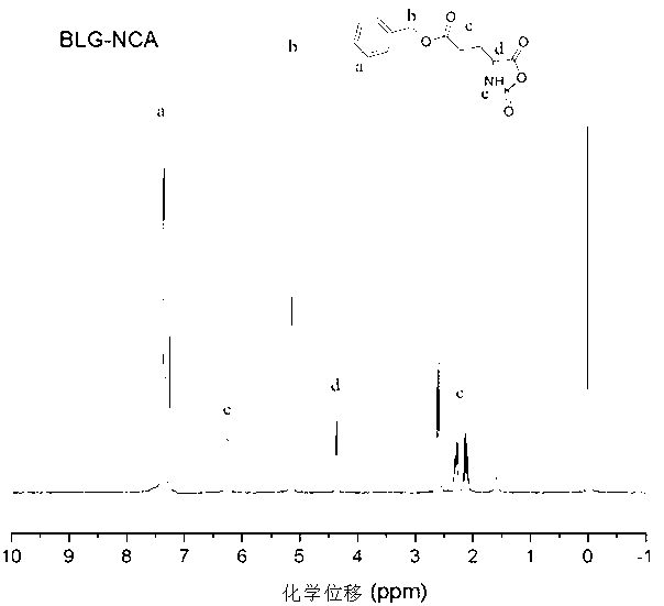 Method for rapidly preparing polyamino acid and derivative thereof and application of method